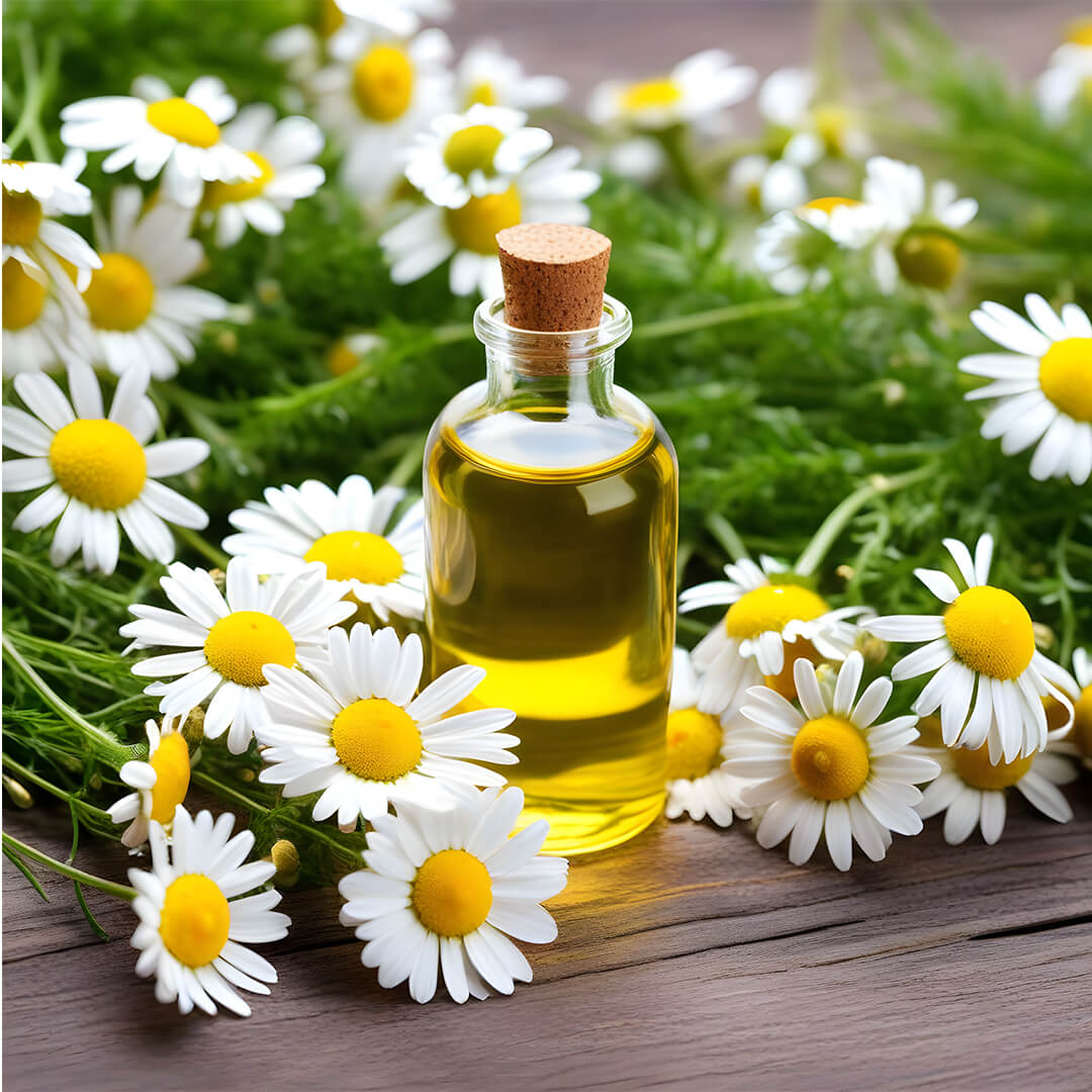 Here Are Some Technical Details About Chamomile Hydrosol